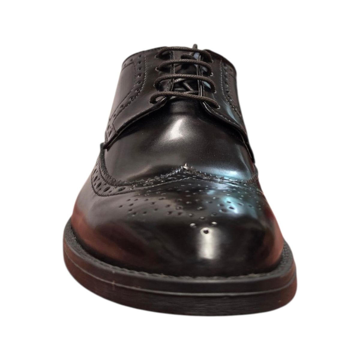 Scarpa brogue elegante con traforature nera